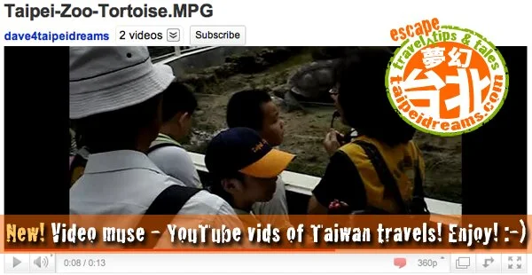 Be Like The Tortoise: Taiwan Teacher In Taipei Zoo!