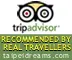 TripAdvisor Recommend 3 Popular Hotels Near Xinyi District, Taipei City!