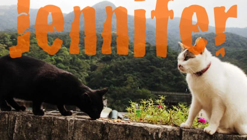 Houtong-Cat-Village-Taiwan-by-Epicurious